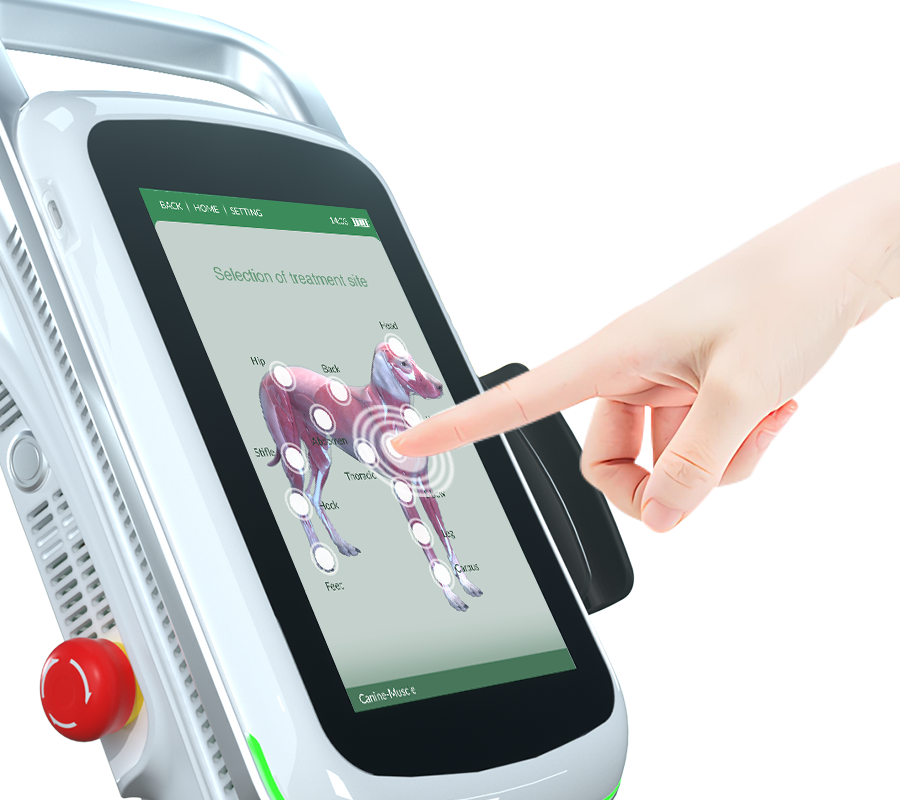 Every Touch, Simplified for Efficiency