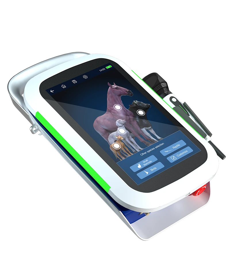 rex-veterinary-laser