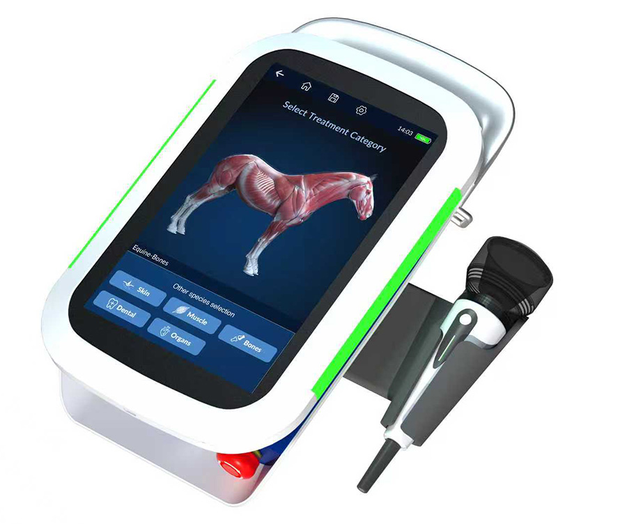 The world’s first 3D veterinary model with specialized UI design