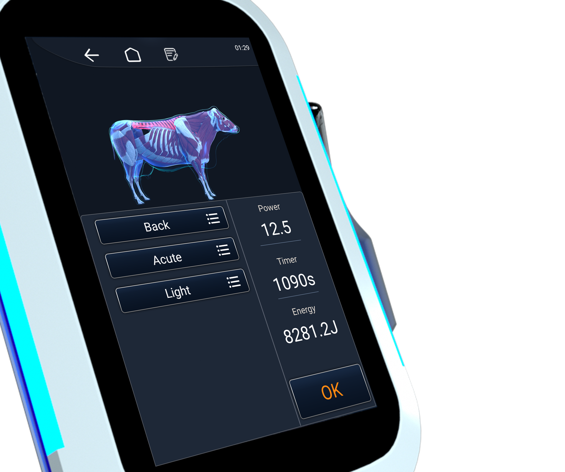 The world’s first 3D veterinary model with specialized UI design