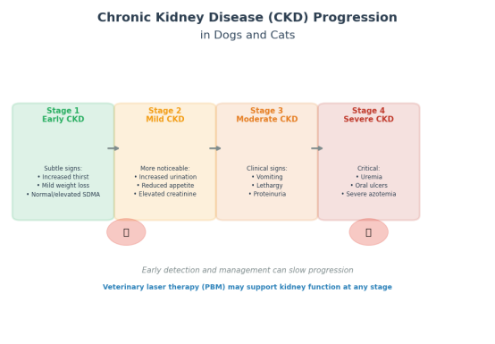 chronic-kidney-disease-ckd-stages-dogs-cats.jpg.png