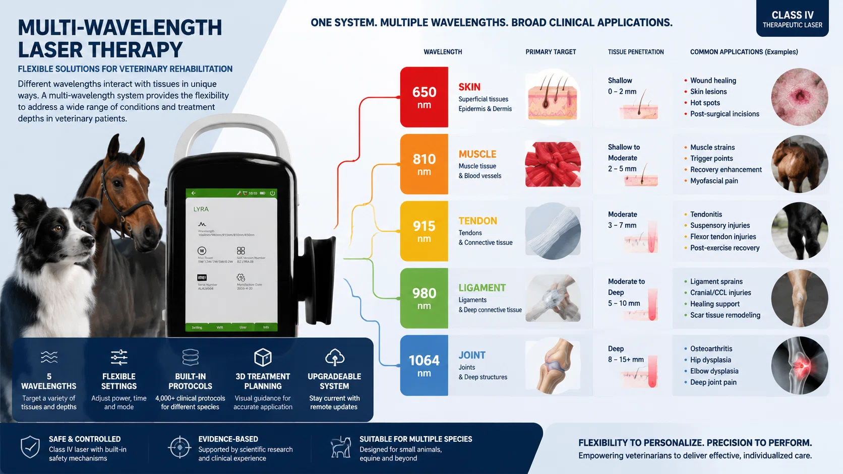 multi-wavelength-veterinary-laser-system-equine-rehabilitation.webp