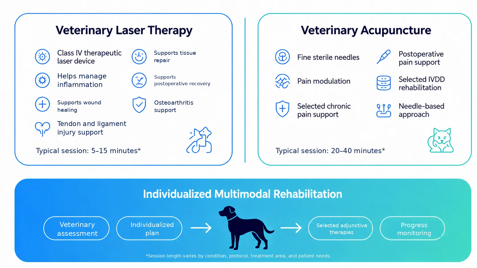 veterinary-laser-vs-acupuncture-article-final.webp