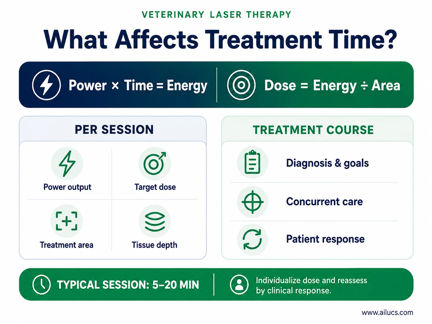 veterinary-laser-treatment-time-factors-infographic.webp
