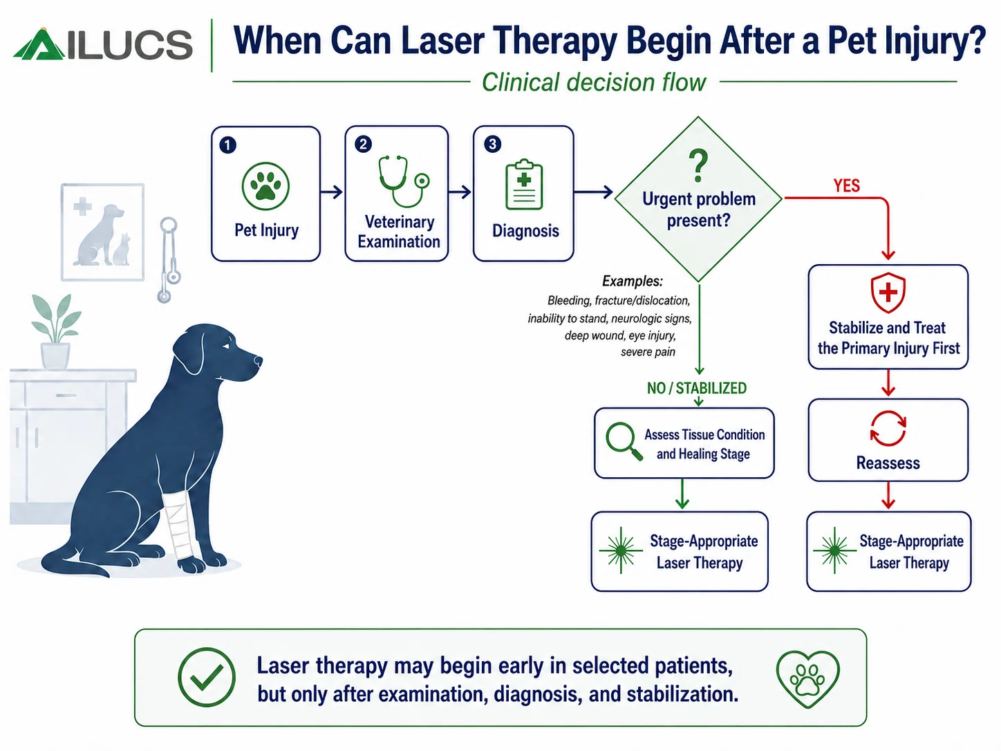 when-can-laser-therapy-begin-after-a-pet-injury-clinical-decision-flow.webp when-can-laser-therapy-begin-after-a-pet-injury-clinical-decision-flow.webp