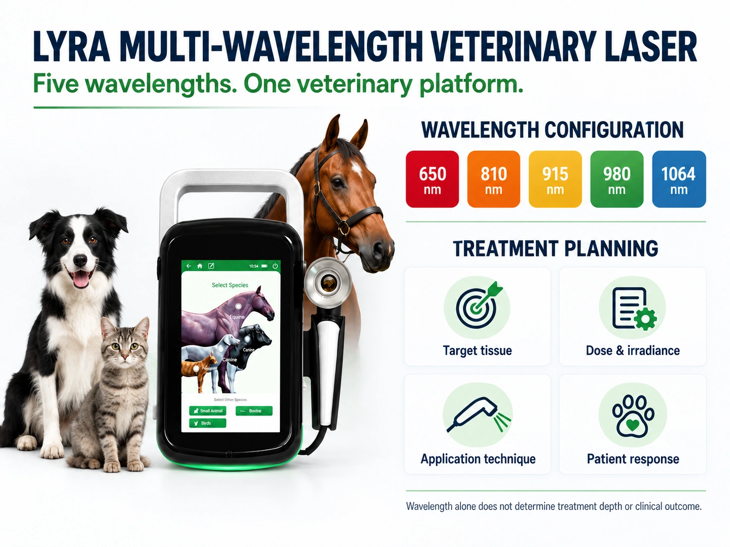 lyra-multi-wavelength-veterinary-laser-equine-rehabilitation.webp