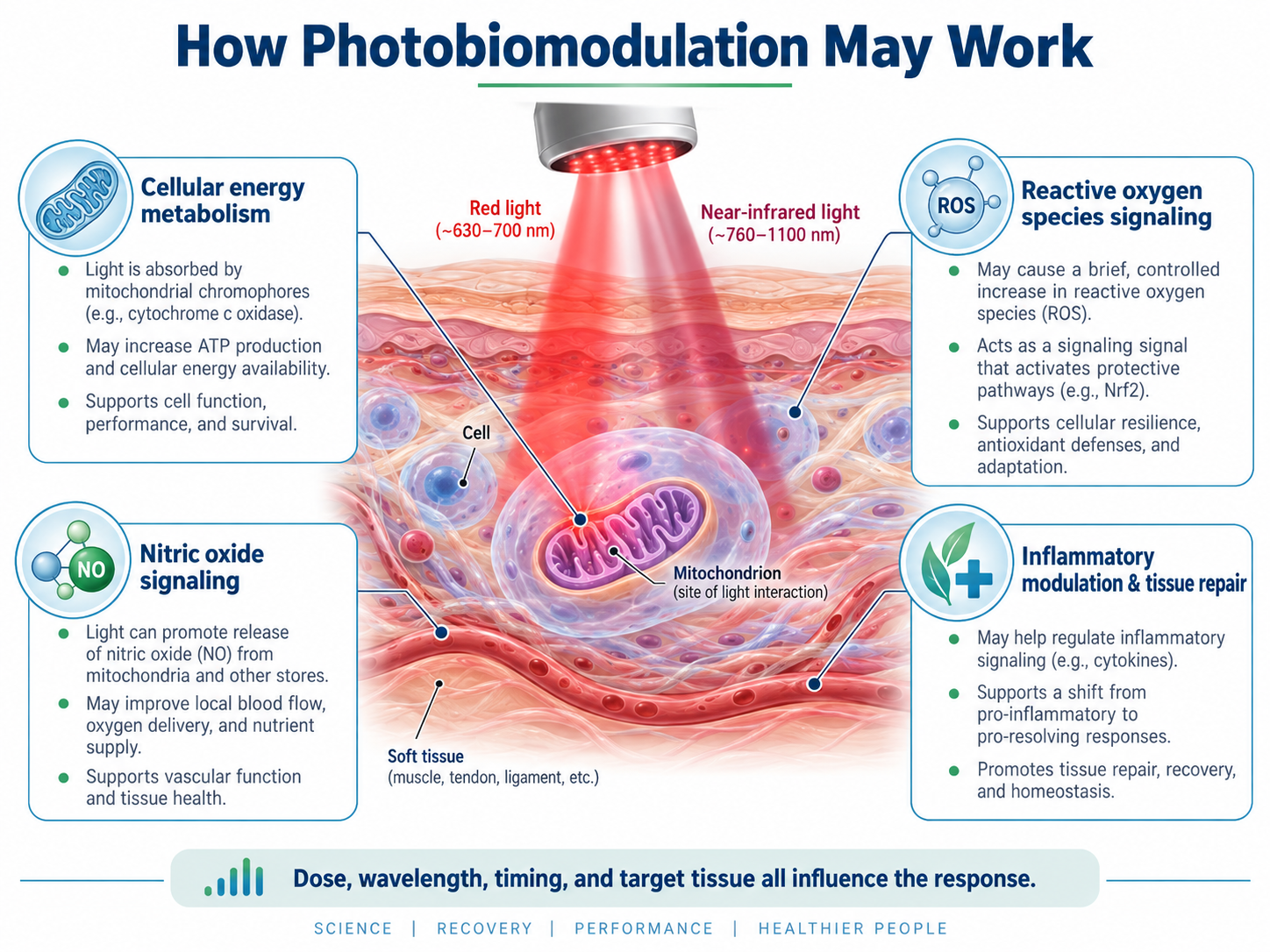 how-photobiomodulation-may-work-sports-medicine-laser-therapy.webp how-photobiomodulation-may-work-sports-medicine-laser-therapy.webp