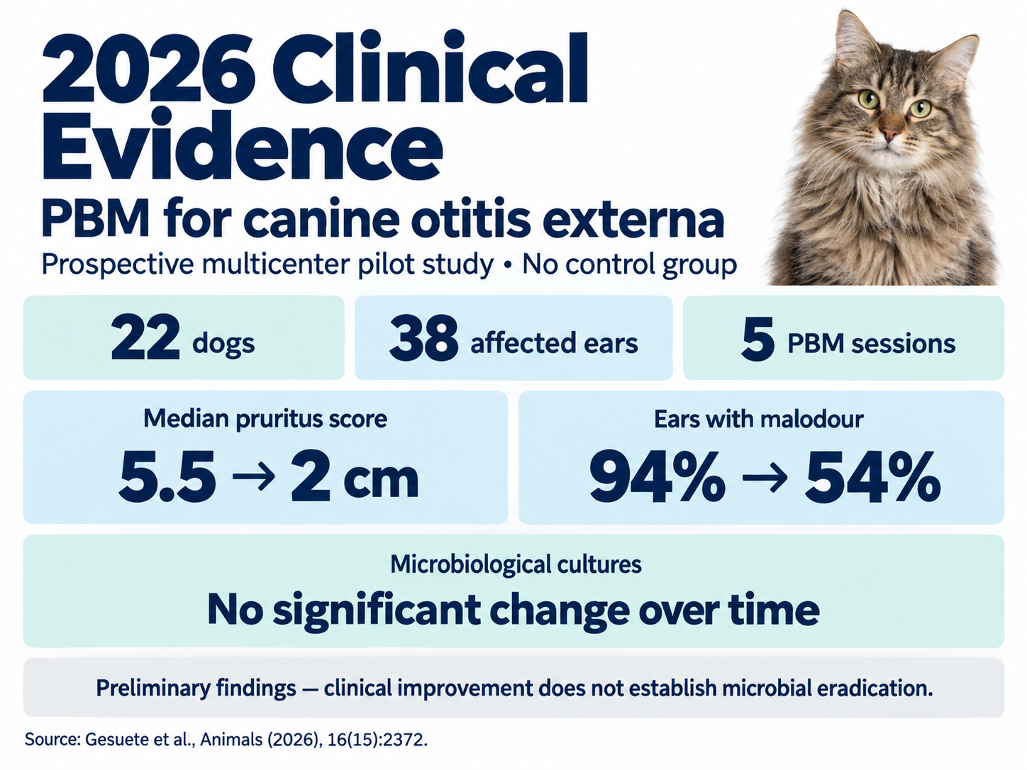 canine-otitis-externa-pbm-clinical-evidence-2026.png canine-otitis-externa-pbm-clinical-evidence-2026.png