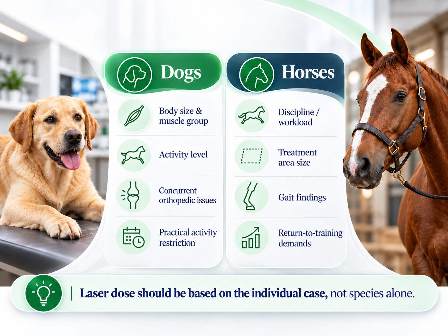 ailucs-dogs-horses-rehabilitation-considerations-muscle-strains.png ailucs-dogs-horses-rehabilitation-considerations-muscle-strains.png