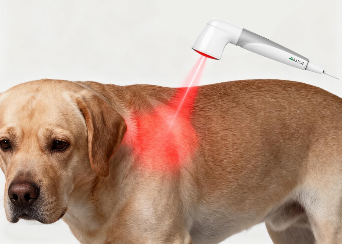 Why Laser Therapy Is Not Recommended on Tumor Sites