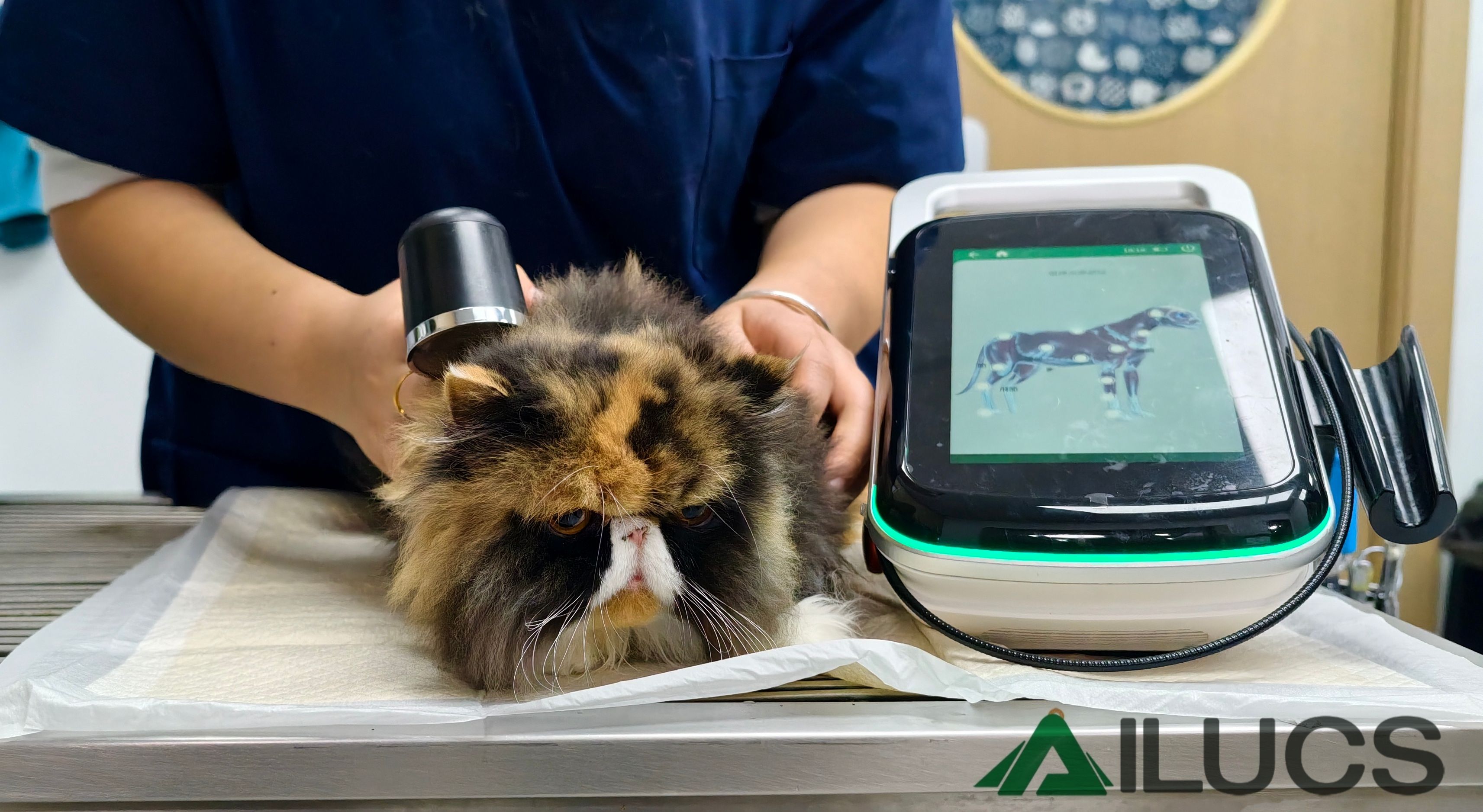 The Necessity for Veterinary Clinics to Equip Laser Therapy Devices
