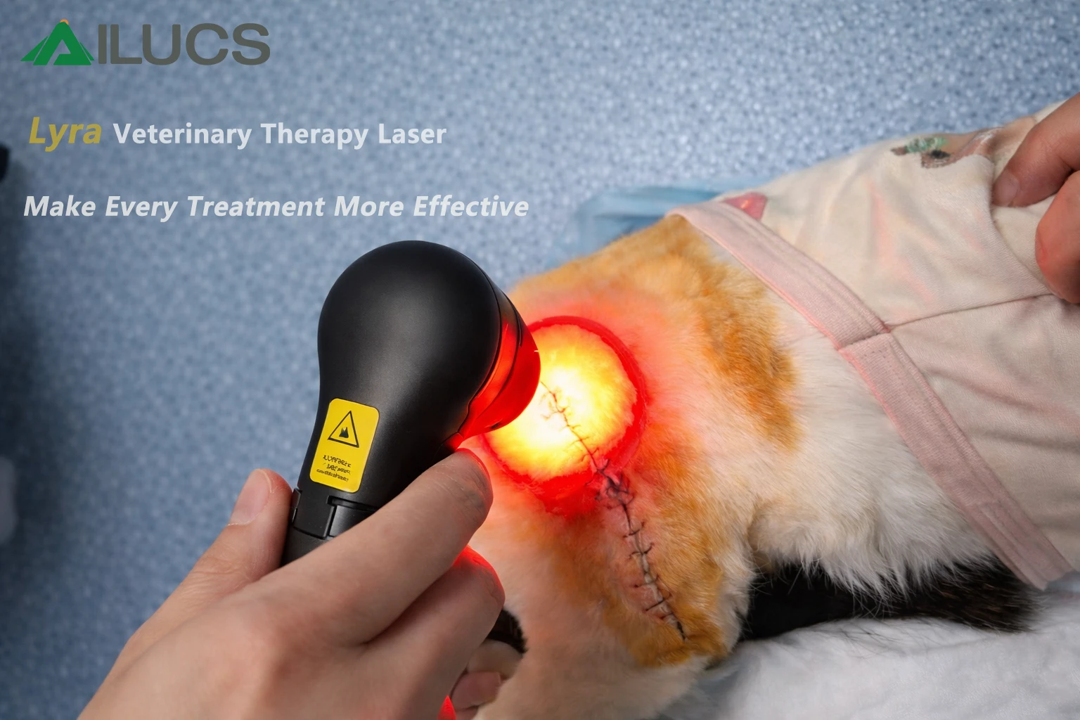 Lyra Class IV Laser Assisted Recovery of a Postoperative Feline Incision: Dabai’s Case