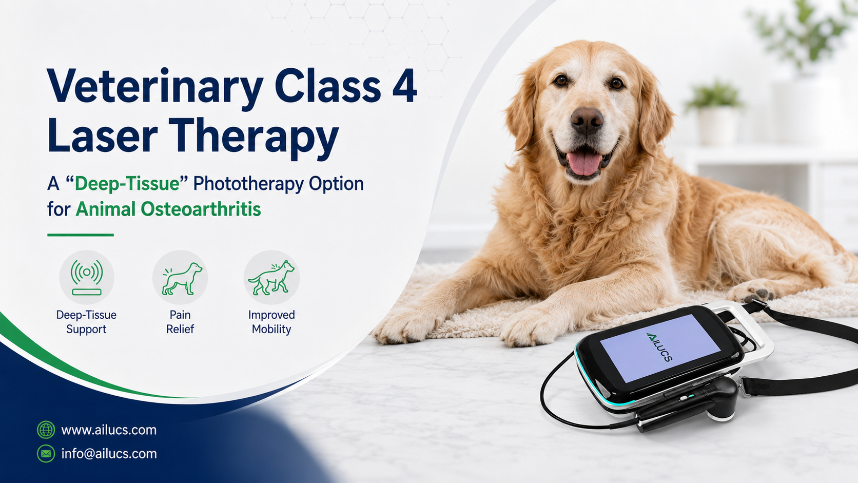 Veterinary Class 4 Laser Therapy: A “Deep-Tissue” Phototherapy Option for Animal Osteoarthritis