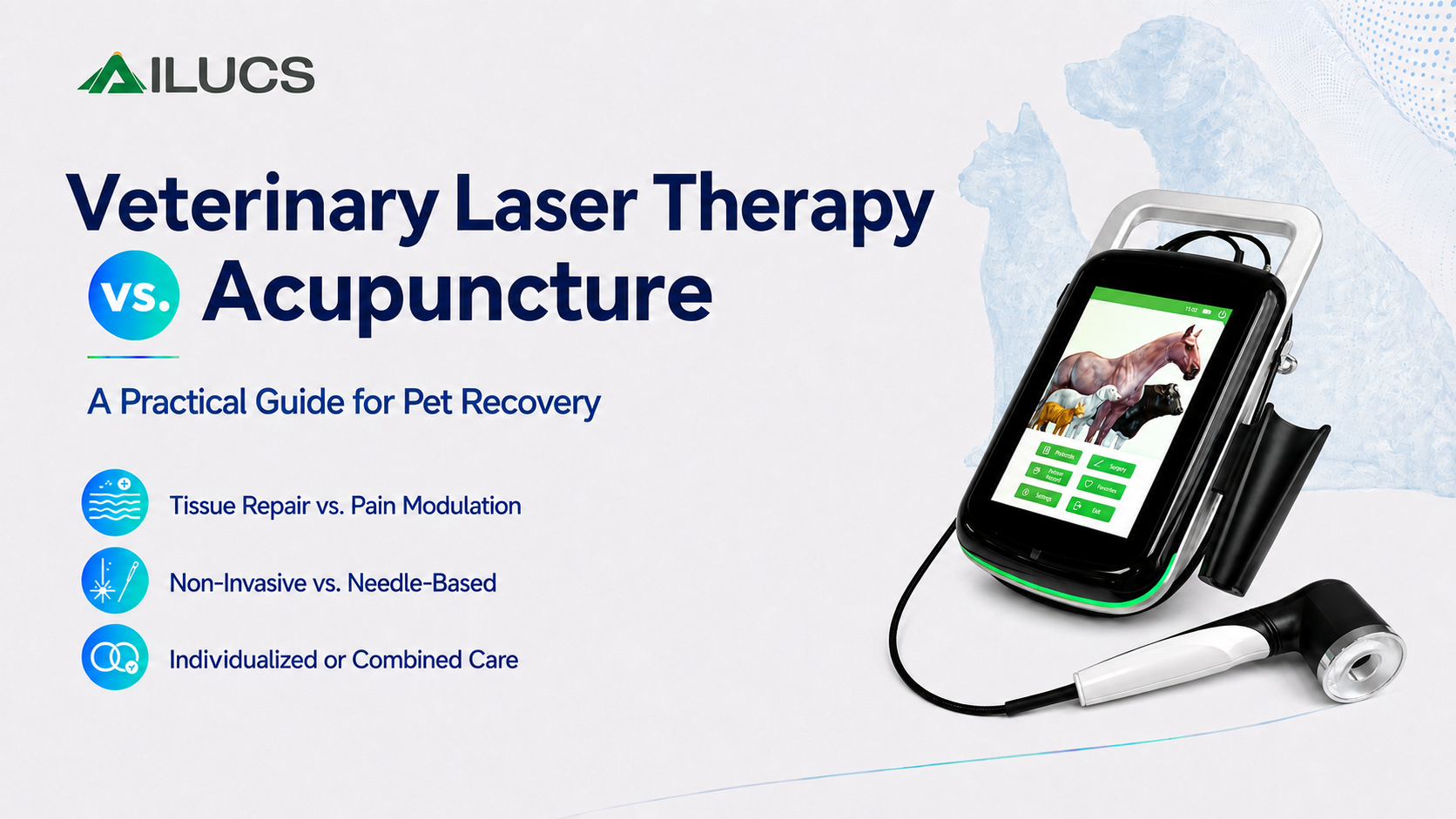Portable Class IV laser therapy system