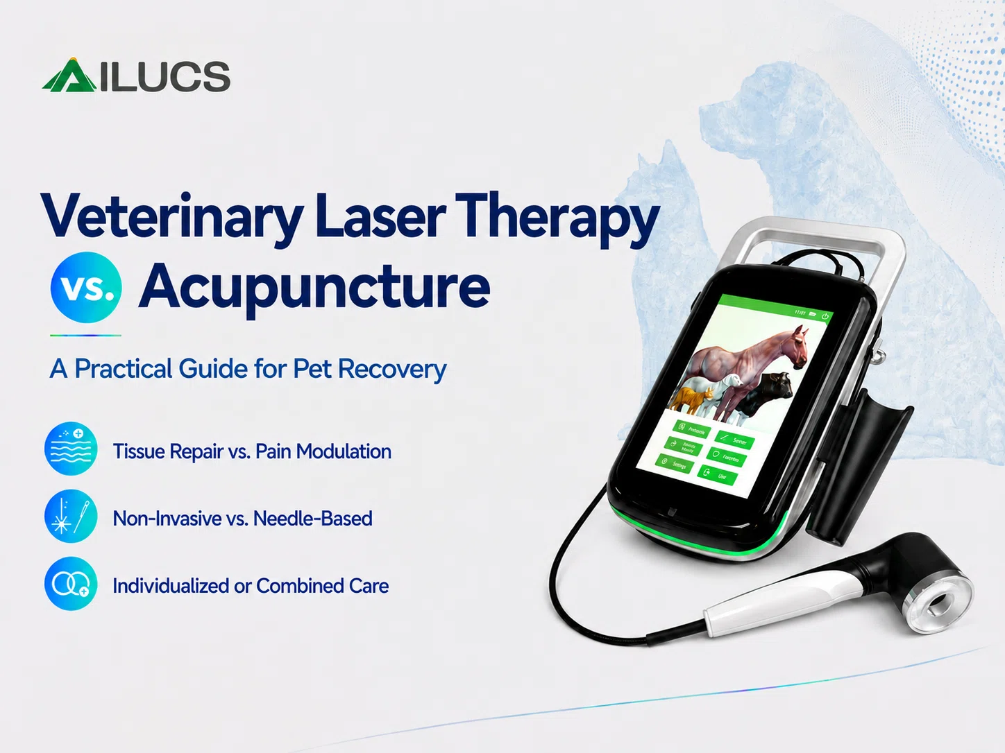 Portable Class IV laser therapy system
