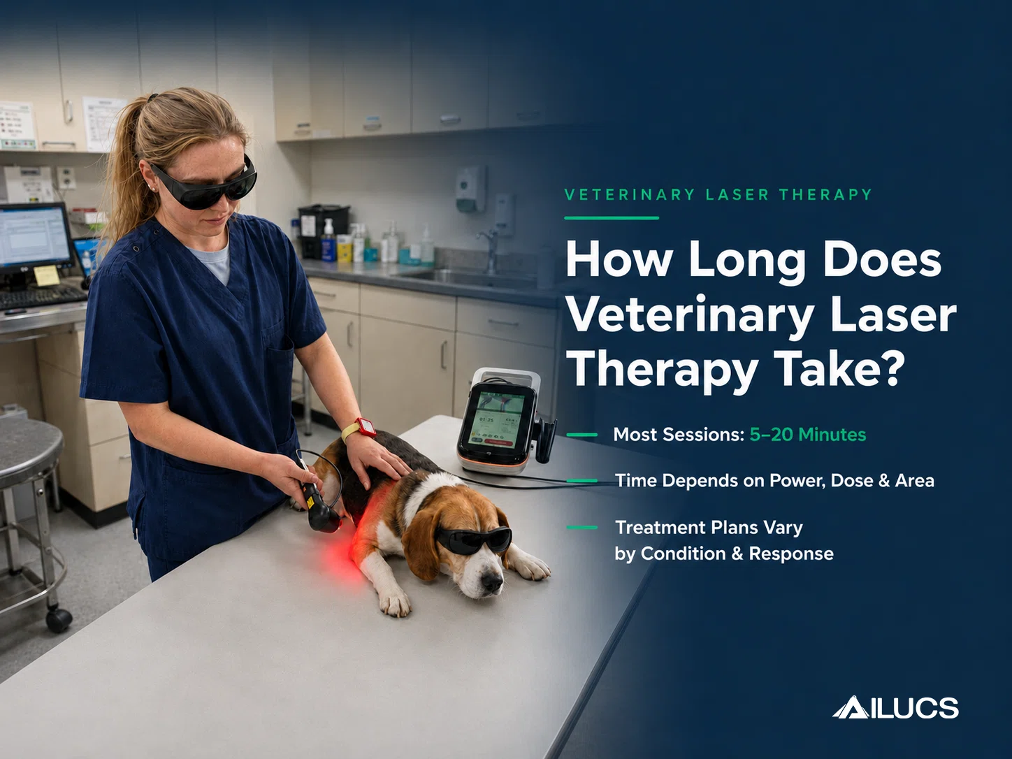 Portable Class IV laser therapy system
