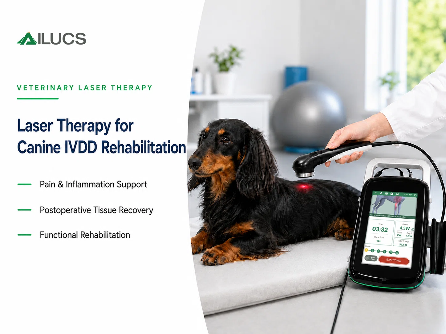 The Role of Laser Therapy in Canine IVDD Rehabilitation