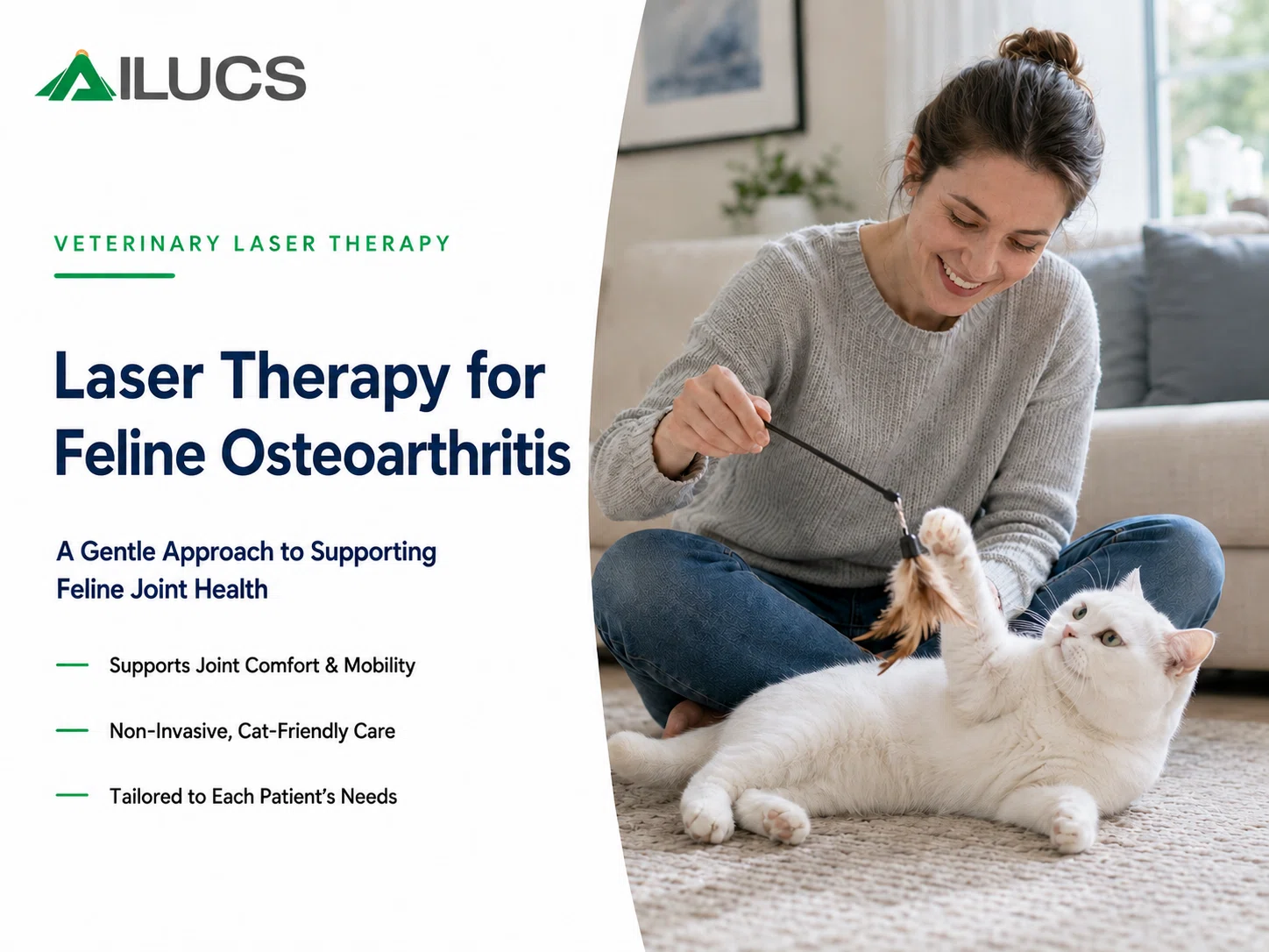 Laser Therapy for Cats with Osteoarthritis: A Gentle Approach to Supporting Feline Joint Health