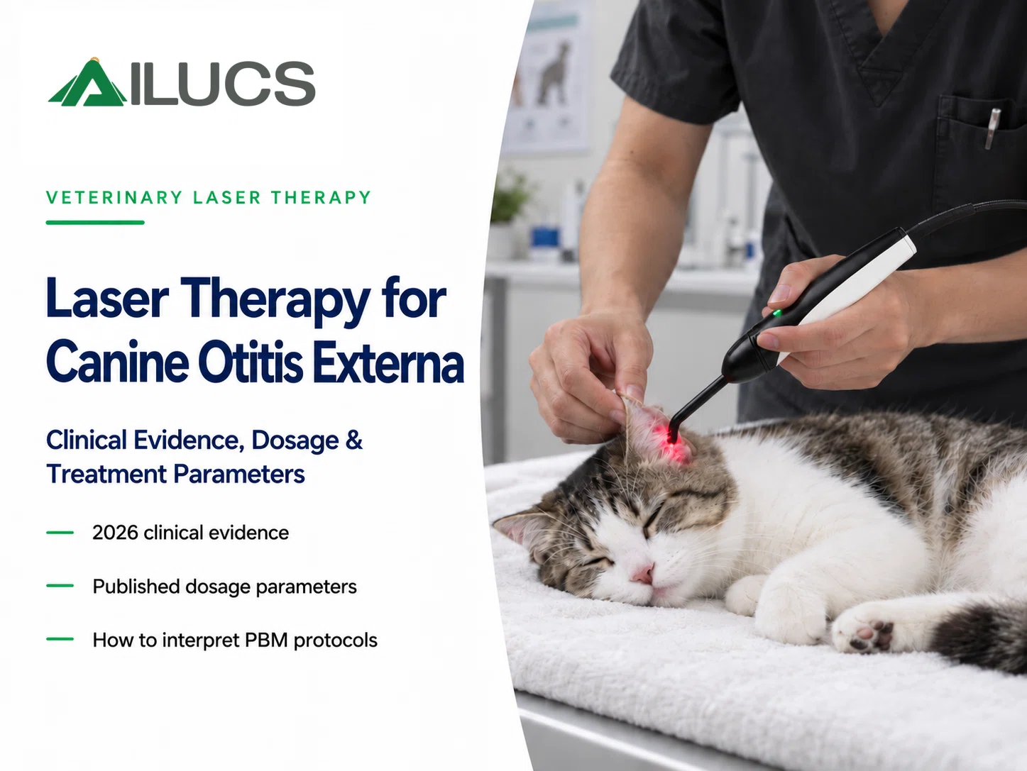Can Laser Therapy Help Treat Ear Infections in Dogs and Cats? (Part 2)