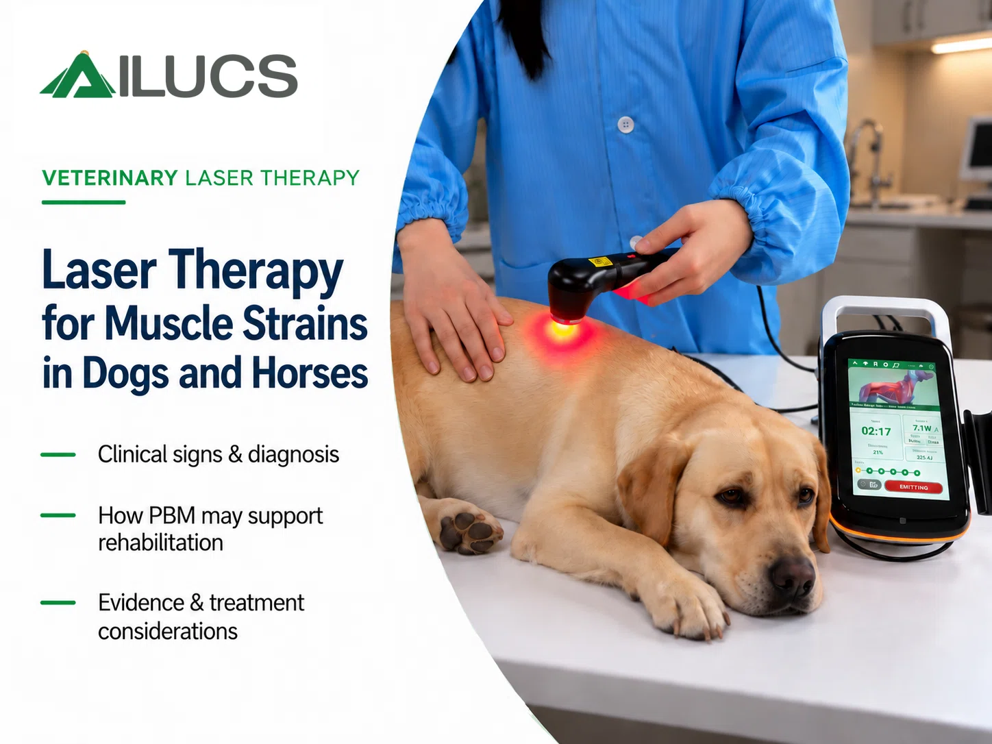 Laser Therapy for Muscle Strains in Dogs and Horses