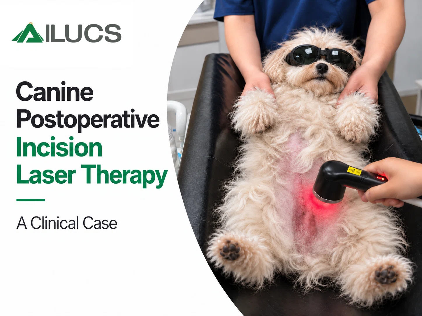 Portable Class IV laser therapy system