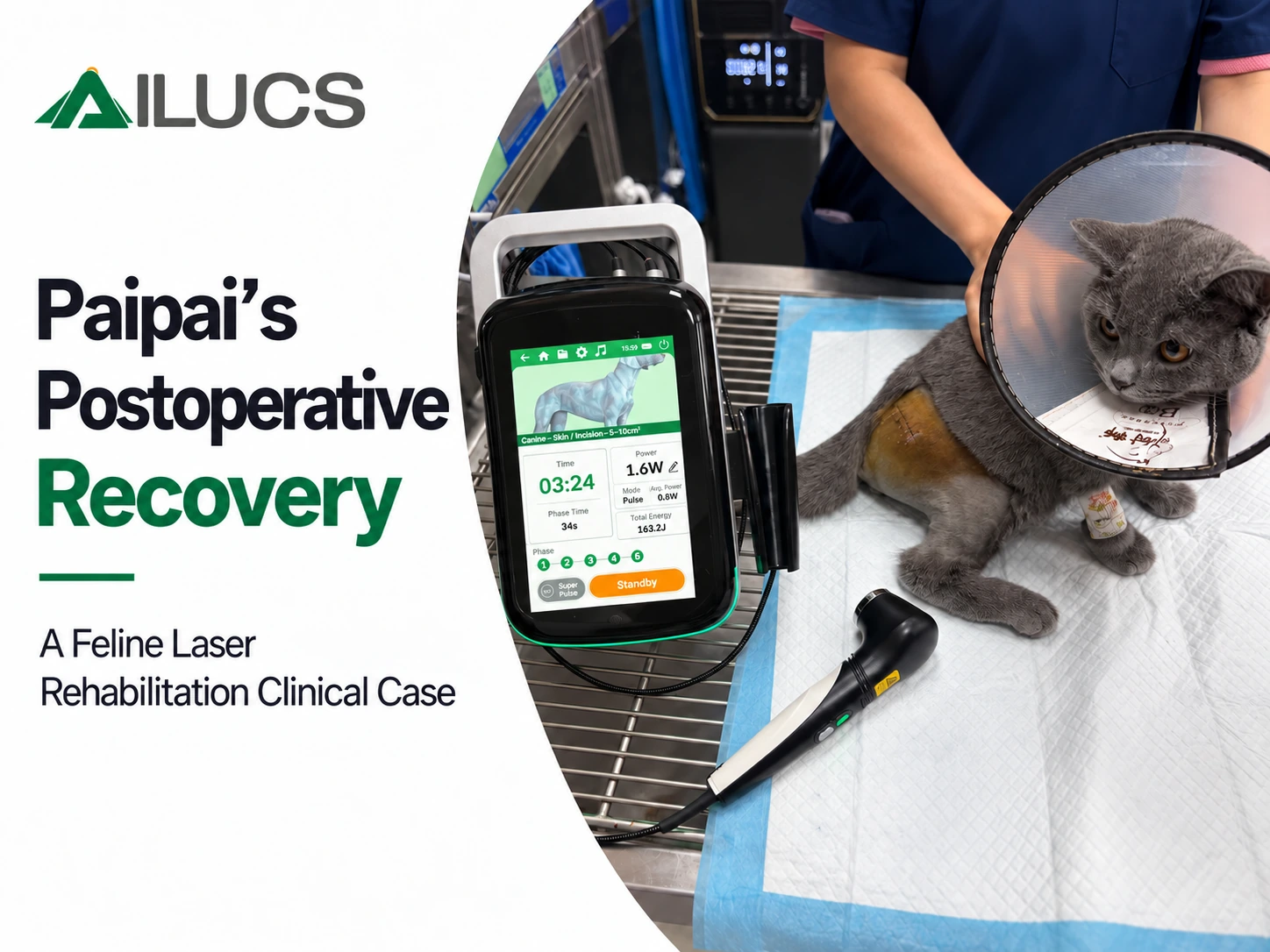 Portable Class IV laser therapy system