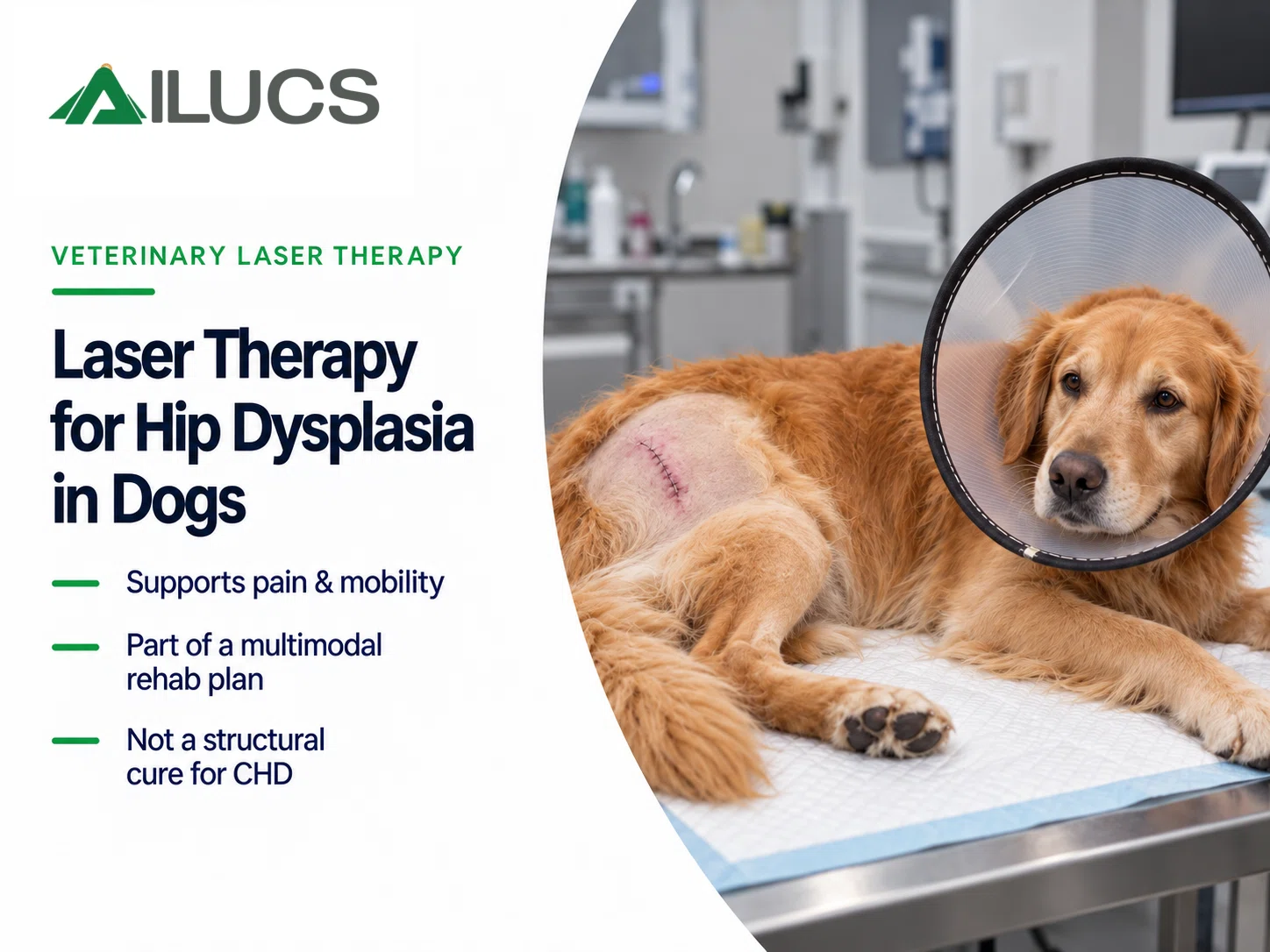 Portable Class IV laser therapy system