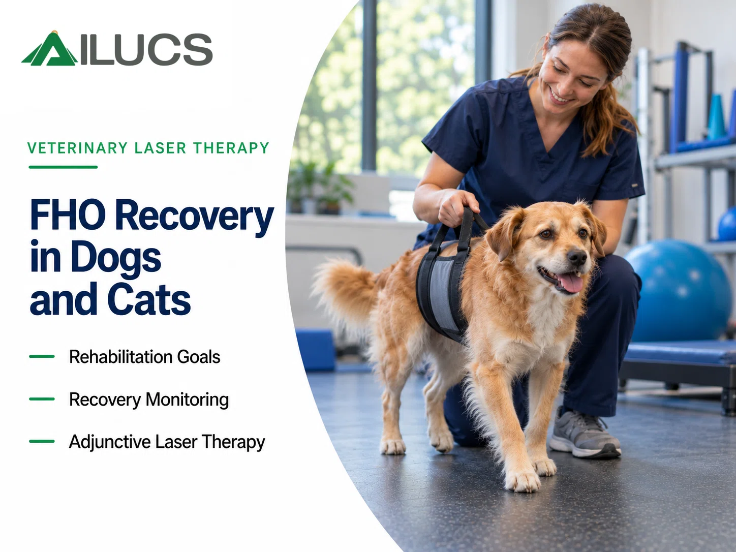 Portable Class IV laser therapy system